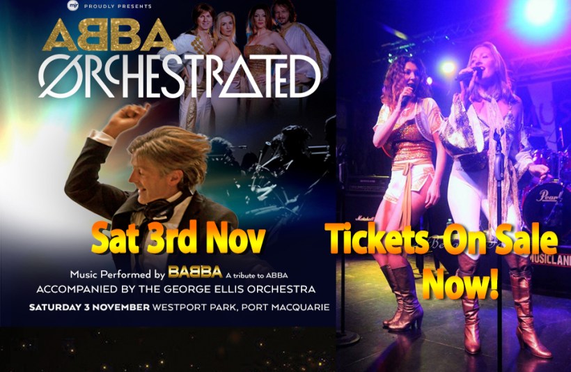 Babba Orch 3rd Nov 3.jpg